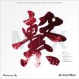 Pioneer RB-VD2-CR Control Vinyl (Paar) Thumbnail 2