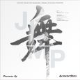 Pioneer RB-VD2-W Control Vinyl (Paar) Thumbnail 2
