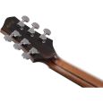 Ibanez PA300E-NSL Westerngitarre inkl. Gigbag Thumbnail 9