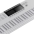 Native Instruments KOMPLETE KONTROL S49 MK2 Vapor Gray LTD Thumbnail 2
