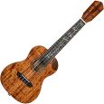 Ortega RUET-ACA Konzert-Ukulele inkl. Gigbag Thumbnail 3