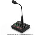 Roland CGM-30 Schwanenhals-Mikrofon Thumbnail 5