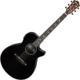 Ibanez AEG550-BK Westerngitarre Thumbnail 1