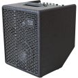 Acus ONE-5T Simon Black für akustische Gitarre Thumbnail 2