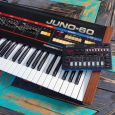 Roland Aira J-6 Compact Chord Synth Thumbnail 7