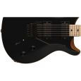 PRS Dustie Waring CE24 Floyd Black Top Thumbnail 2