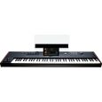 Korg Pa5X76 International 76 Tasten Thumbnail 3