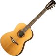 Höfner HA-CS8 Akustikgitarre Thumbnail 1