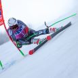 Komperdell Nationalteam Carbon GS 12,3 Gr. 125 Thumbnail 3