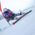 Komperdell Nationalteam Carbon GS Bent Gr. 125 Thumbnail 3