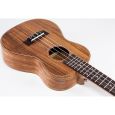 VOLT Ukulele Milano Konzert-Ukulele inkl. Gigbag Thumbnail 4