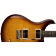 PRS SE DGT Birds MC Tobacco Sunburst E-Gitarre Thumbnail 4