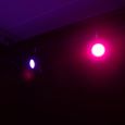EUROLITE LED SLS-30 COB QCL Floor Thumbnail 10