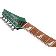Ibanez ALT30-JGM Westerngitarre Thumbnail 6