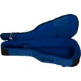 Ritter Arosa RI-RGA5-D-SBL Dreadnought Gigbag Thumbnail 5