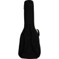 Ritter Arosa RI-RGA5-AB-SBK Akustikbass Gigbag Thumbnail 3