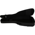 Ritter Arosa RI-RGA5-AB-SBK Akustikbass Gigbag Thumbnail 4