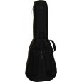 Ritter Arosa RI-RGA5-L-SBK Les Paul E-Gitarre Gigbag Thumbnail 2