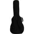 Ritter Arosa RI-RGA5-SA-SBK 335 Semiakustik Gigbag Thumbnail 4