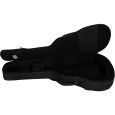 Ritter Arosa RI-RGA5-SA-SBK 335 Semiakustik Gigbag Thumbnail 6