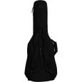 Ritter Arosa RI-RGA5-DE-SBK Double E-Gitarre Gigbag Thumbnail 3