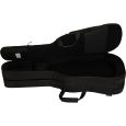 Ritter Arosa RI-RGA5-DE-SBK Double E-Gitarre Gigbag Thumbnail 5