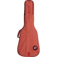 Ritter Bern RI-RGB4-D-FRO Dreadnought Gigbag Thumbnail 1