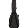 Ritter Bern RI-RGB4-F-ANT Folk/Auditorium Gigbag Thumbnail 3