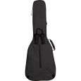 Ritter Bern RI-RGB4-F-ANT Folk/Auditorium Gigbag Thumbnail 4