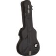 Ritter Bern RI-RGB4-SA-ANT 335 Semiakustik Gigbag Thumbnail 2