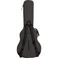 Ritter Bern RI-RGB4-SA-ANT 335 Semiakustik Gigbag Thumbnail 3