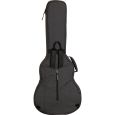 Ritter Bern RI-RGB4-SA-ANT 335 Semiakustik Gigbag Thumbnail 4