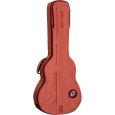 Ritter Bern RI-RGB4-SA-FRO 335 Semiakustik Gigbag Thumbnail 2