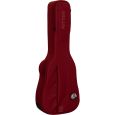 Ritter Carouge RI-RGC3-C-SRD Konzertgitarre 4/4 Klassik Gigbag Thumbnail 2