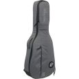 Ritter Carouge RI-RGC3-CT-EGR Konzertgitarre 3/4 Klassik Gigbag Thumbnail 2
