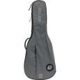 Ritter Carouge RI-RGC3-CH-EGR Konzertgitarre 1/2 Klassik Gigbag Thumbnail 1