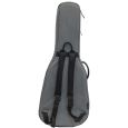 Ritter Carouge RI-RGC3-CH-EGR Konzertgitarre 1/2 Klassik Gigbag Thumbnail 3