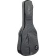 Ritter Carouge RI-RGC3-D-EGR Dreadnought Gigbag Thumbnail 2