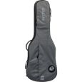 Ritter Carouge RI-RGC3-E-EGR E-Gitarre Gigbag Thumbnail 1