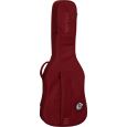 Ritter Carouge RI-RGC3-E-SRD E-Gitarre Gigbag Thumbnail 2