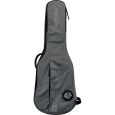 Ritter Carouge RI-RGC3-ET-EGR 3/4 E-Gitarre Gigbag Thumbnail 1