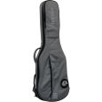 Ritter Carouge RI-RGC3-ET-EGR 3/4 E-Gitarre Gigbag Thumbnail 2