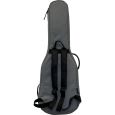 Ritter Carouge RI-RGC3-ET-EGR 3/4 E-Gitarre Gigbag Thumbnail 3