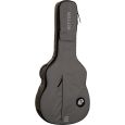 Ritter Carouge RI-RGC3-SB-EGR Super Jumbo Gigbag Thumbnail 2