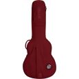 Ritter Carouge RI-RGC3-SA-ABL 335 Semiakustik Gigbag Thumbnail 1