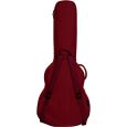 Ritter Carouge RI-RGC3-SA-ABL 335 Semiakustik Gigbag Thumbnail 2