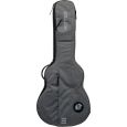 Ritter Carouge RI-RGC3-SA-EGR 335 Semiakustik Gigbag Thumbnail 1