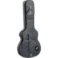 Ritter Carouge RI-RGC3-SA-EGR 335 Semiakustik Gigbag Thumbnail 2