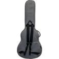 Ritter Carouge RI-RGC3-SA-EGR 335 Semiakustik Gigbag Thumbnail 3