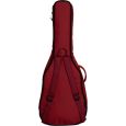 Ritter Davos RI-RGD2-C-SRD Konzertgitarre 4/4 Klassik Gigbag Thumbnail 3